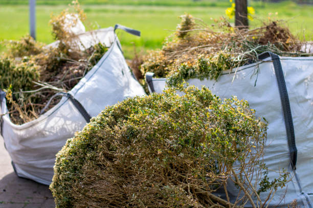 Best Construction Debris Removal  in Mount Olive, AL